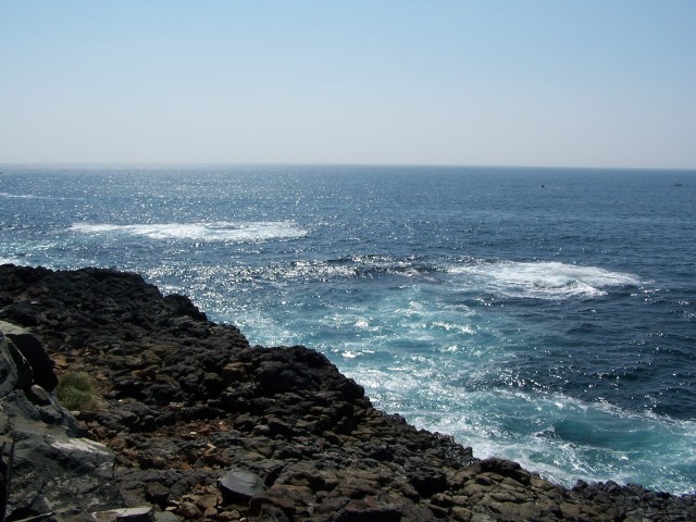 100_3013.jpg  (83.7 Kb)
