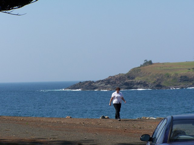 100_3018.jpg  (53.7 Kb)
