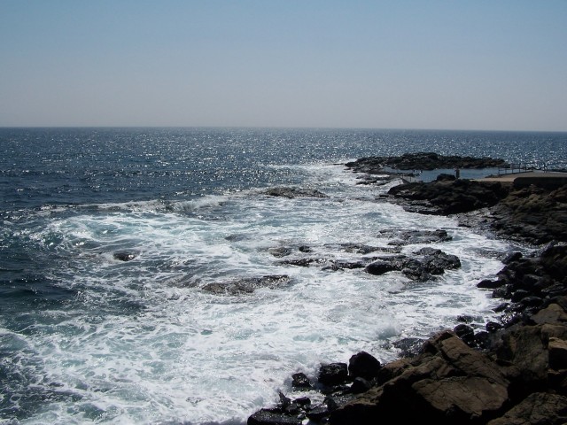 100_3019.jpg  (90.5 Kb)