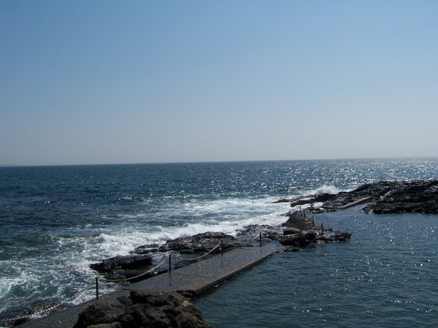 100_3023.jpg  (66.3 Kb)