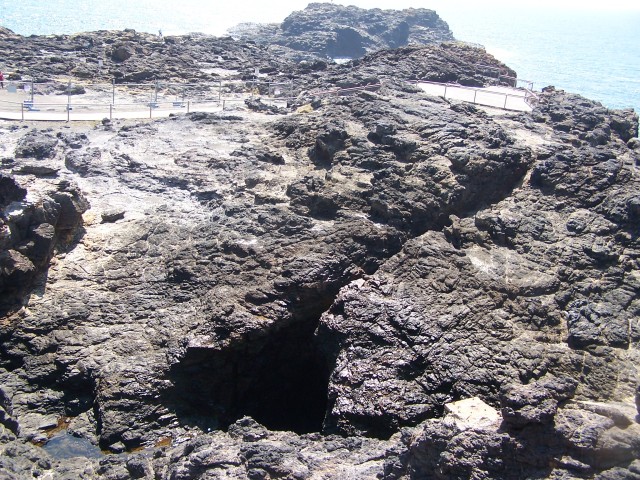 100_3029.jpg  (148.9 Kb)