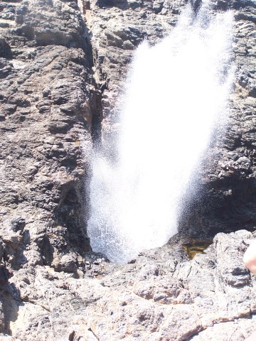 100_3035.jpg  (71.4 Kb)