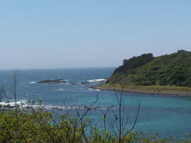 100_3055.jpg  (66.9 Kb)