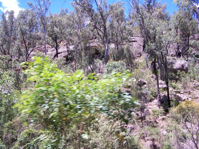 100_1833.jpg  (160.9 Kb)