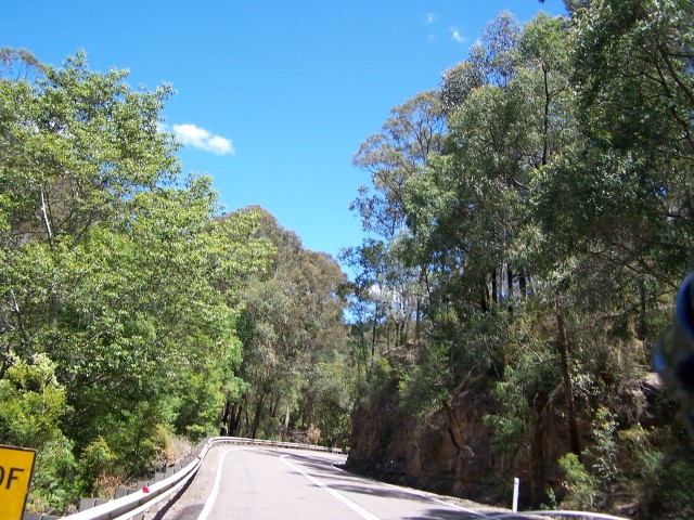 100_1836.jpg  (124.4 Kb)