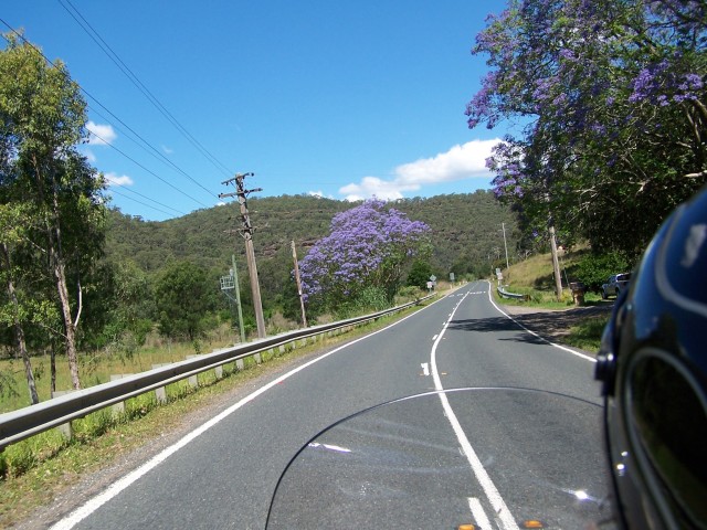100_1876.jpg  (101.0 Kb)