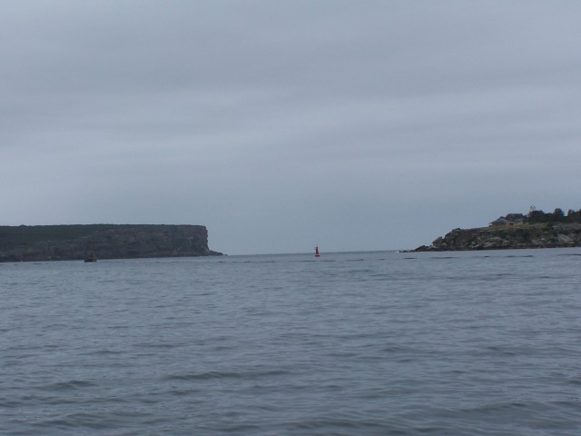 100_3125.jpg  (36.6 Kb)