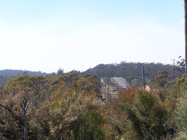 100_1919.jpg  (79.6 Kb)