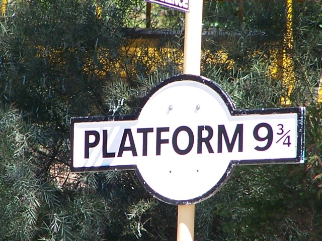 100_1929.jpg  (109.9 Kb)