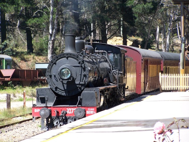 100_1936.jpg  (116.2 Kb)