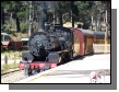 100_1936.jpg  (116.2 Kb)