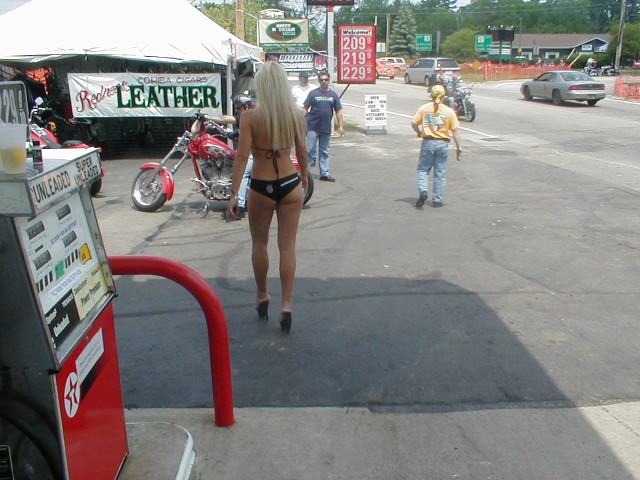 Laconia 2005 028.jpg  (81.9 Kb)