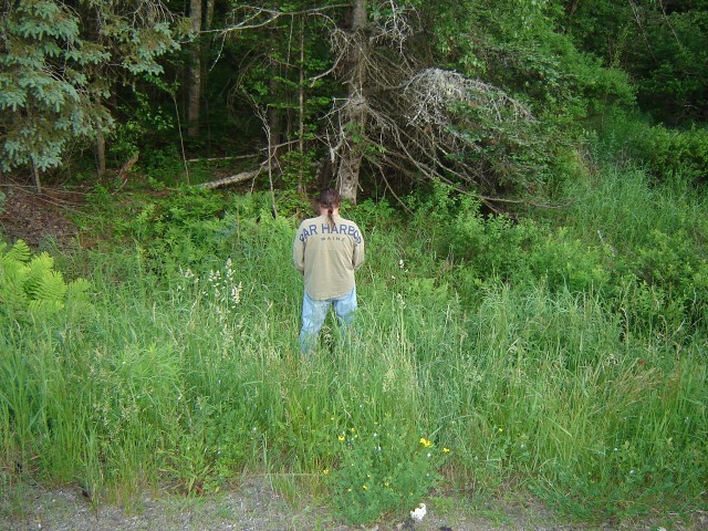 Laconia 2006 part II 031.jpg  (139.0 Kb)