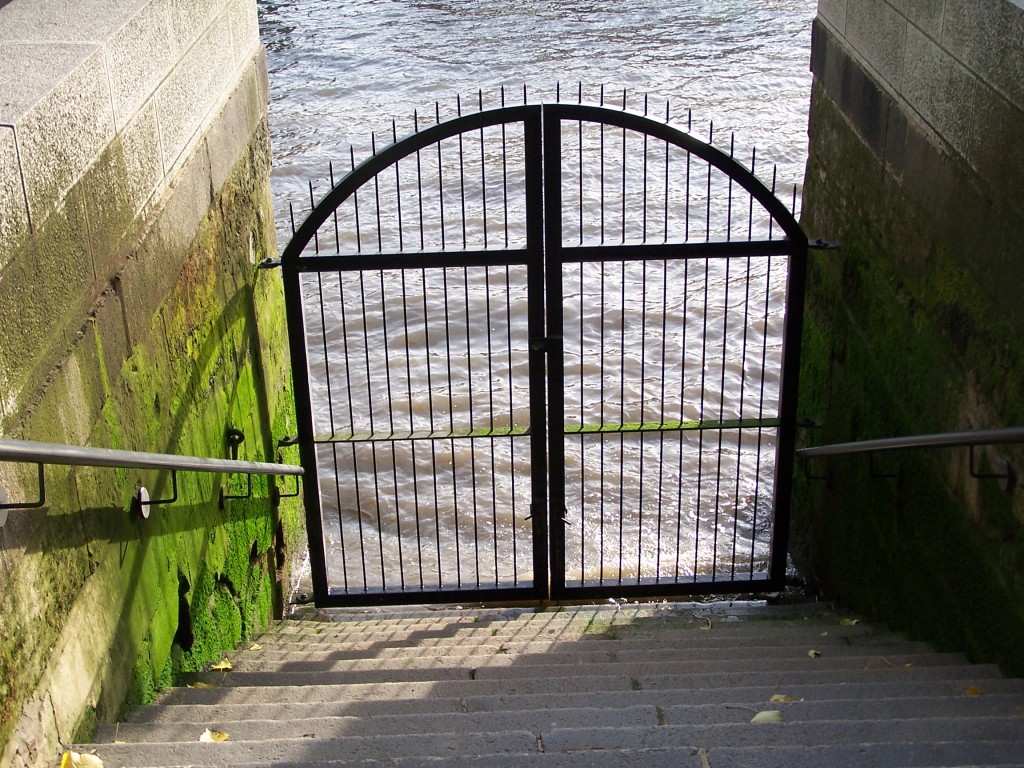 100_0170.jpg  (274.0 Kb)