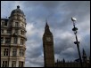 100_0152.jpg  (134.9 Kb)