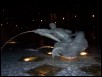 100_0219.jpg  (129.9 Kb)