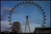 100_1266.jpg  (153.6 Kb)