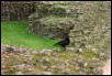 100_1309.jpg  (211.5 Kb)