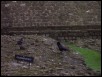 100_3380.jpg  (221.4 Kb)