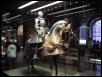 100_3391.jpg  (183.8 Kb)