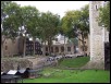 100_3410.jpg  (282.8 Kb)
