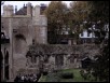 100_3424.jpg  (212.1 Kb)