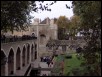 100_3425.jpg  (248.4 Kb)
