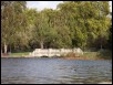 100_3363.jpg  (245.0 Kb)