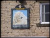 white_bear_2.jpg  (221.1 Kb)