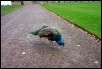 18.jpg  (295.2 Kb)