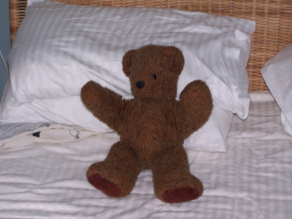 100_0384.jpg  (142.2 Kb)