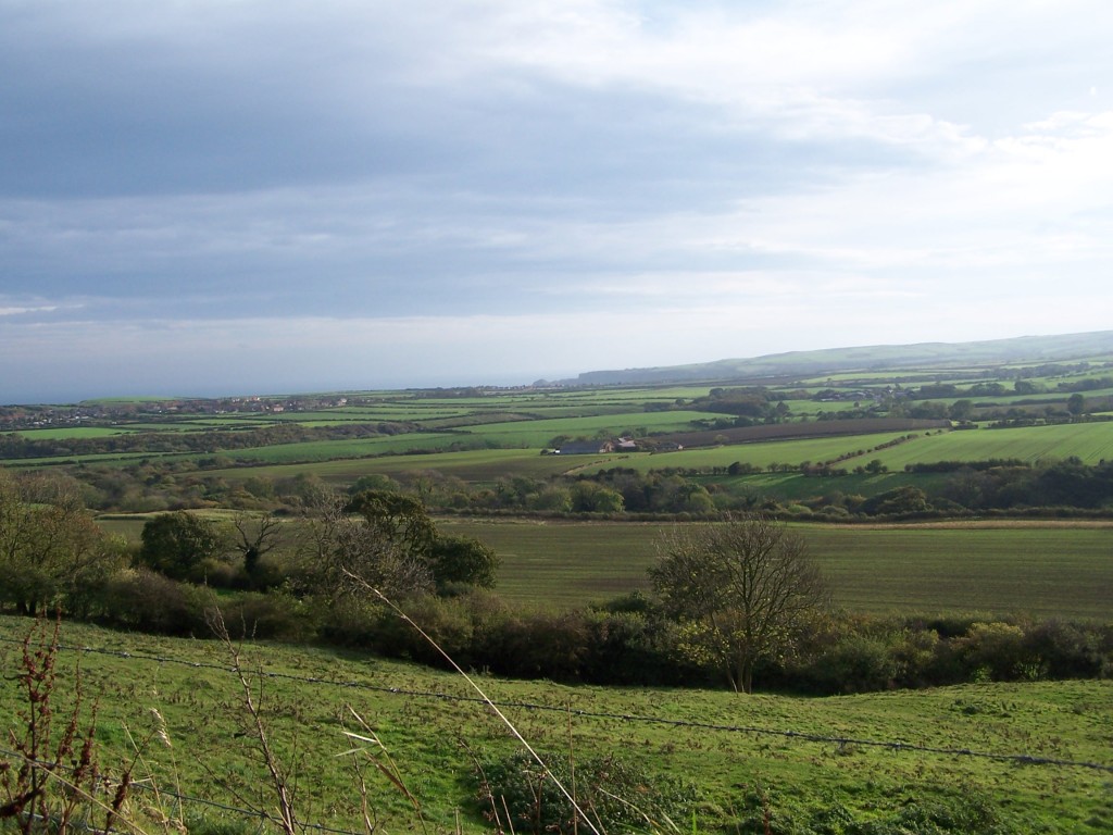 06 Whitby.jpg  (167.8 Kb)