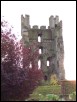 12 Helmsley Castle.jpg  (111.3 Kb)