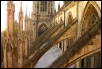16 york minster.jpg  (206.0 Kb)