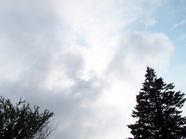 100_0692.jpg  (47.8 Kb)