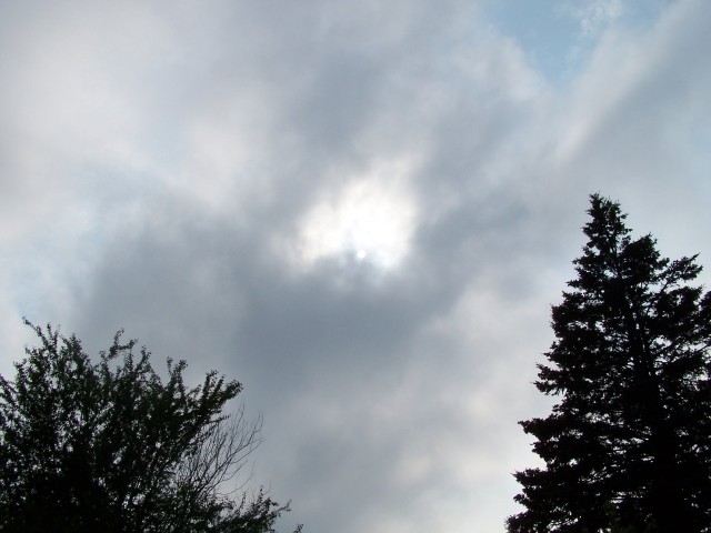 100_0693.jpg  (53.8 Kb)