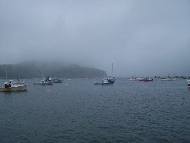 100_0695.jpg  (35.2 Kb)