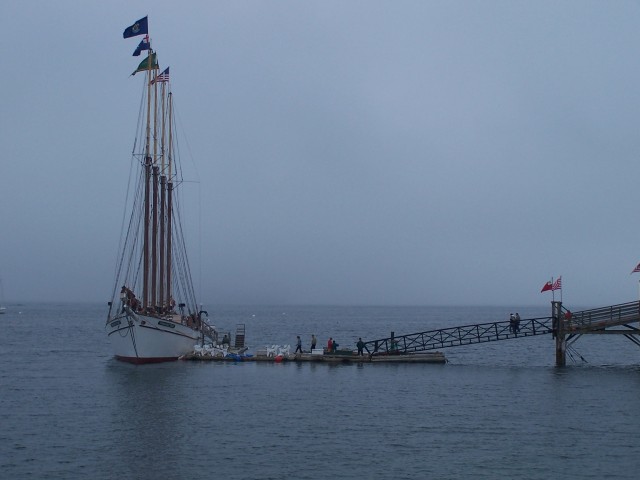 100_0698.jpg  (39.9 Kb)
