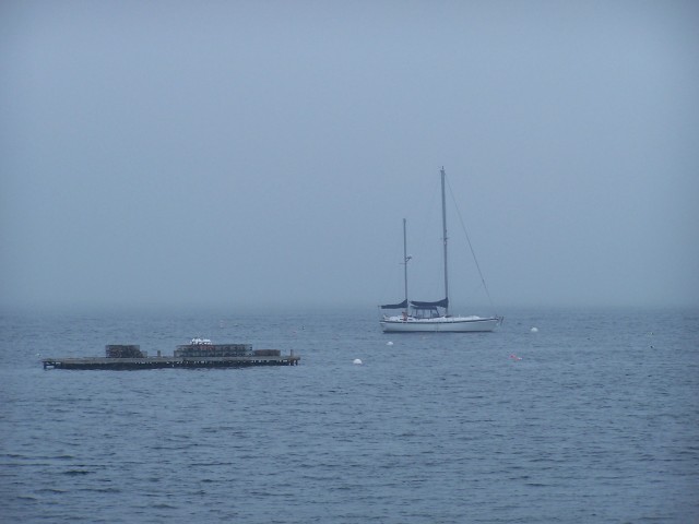 100_0699.jpg  (37.4 Kb)