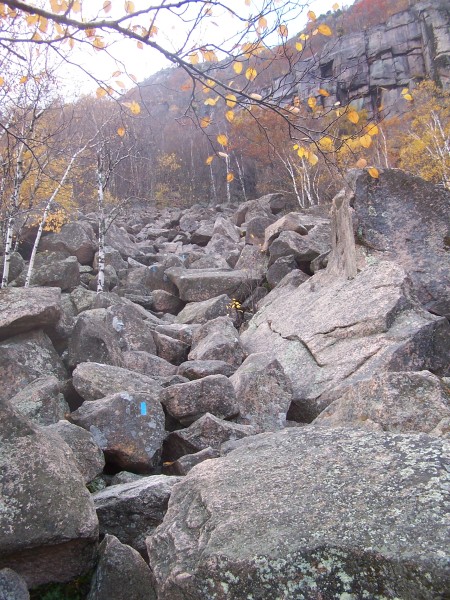 100_0904.jpg  (118.8 Kb)