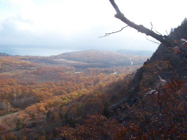 100_0909.jpg  (67.1 Kb)