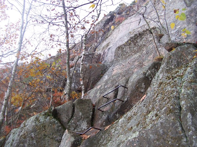 100_0923.jpg  (147.6 Kb)