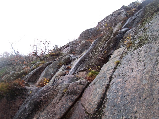 100_0928.jpg  (104.9 Kb)