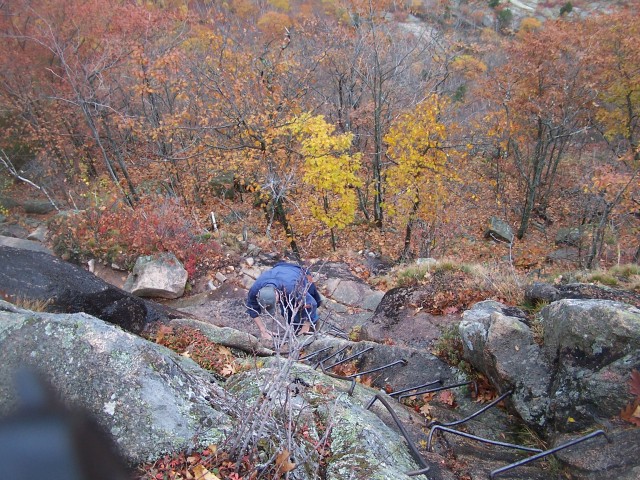 100_0930.jpg  (138.1 Kb)