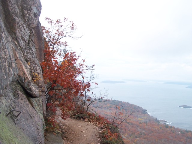 100_0933.jpg  (74.4 Kb)