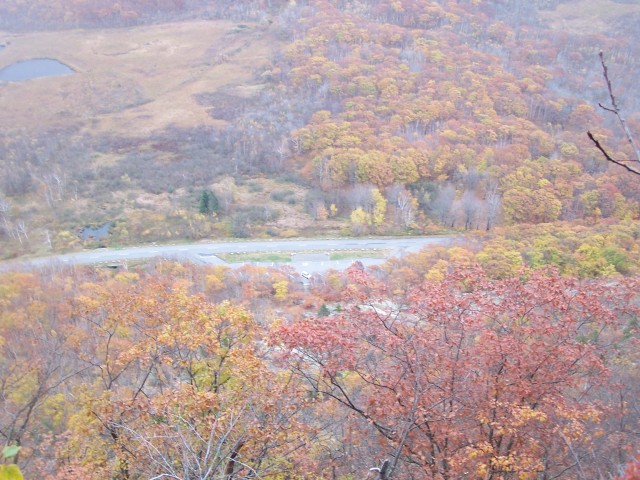 100_0935.jpg  (100.5 Kb)