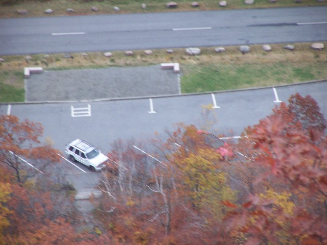 100_0936.jpg  (66.4 Kb)