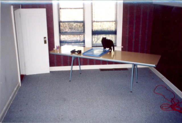 Rear_BEFORE.jpg  (53.9 Kb)
