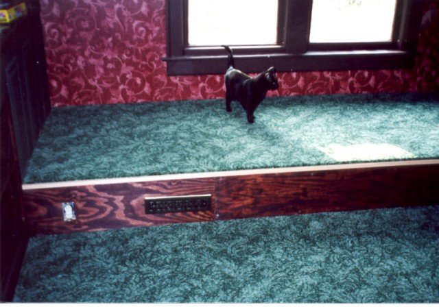 XB_on_new_carpet.jpg  (73.5 Kb)